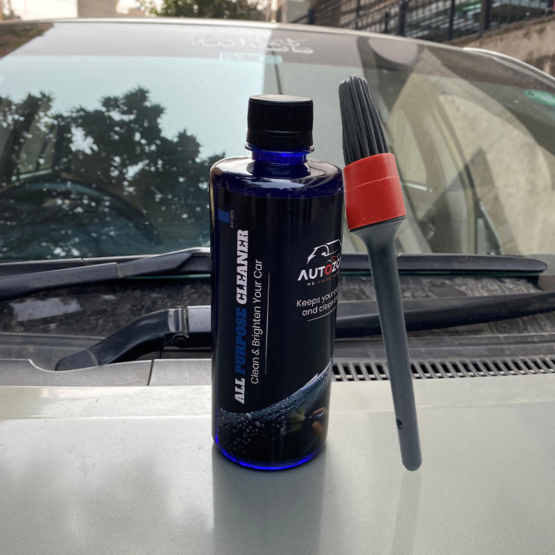 AutozCare All Purpose Cleaner with Detailing Brush (Pack of 2)